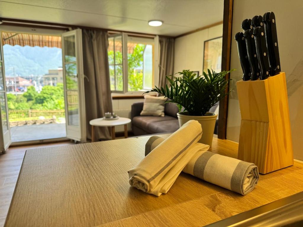 River 1-Kissed Retreat with Iconic Jungfraujoch View