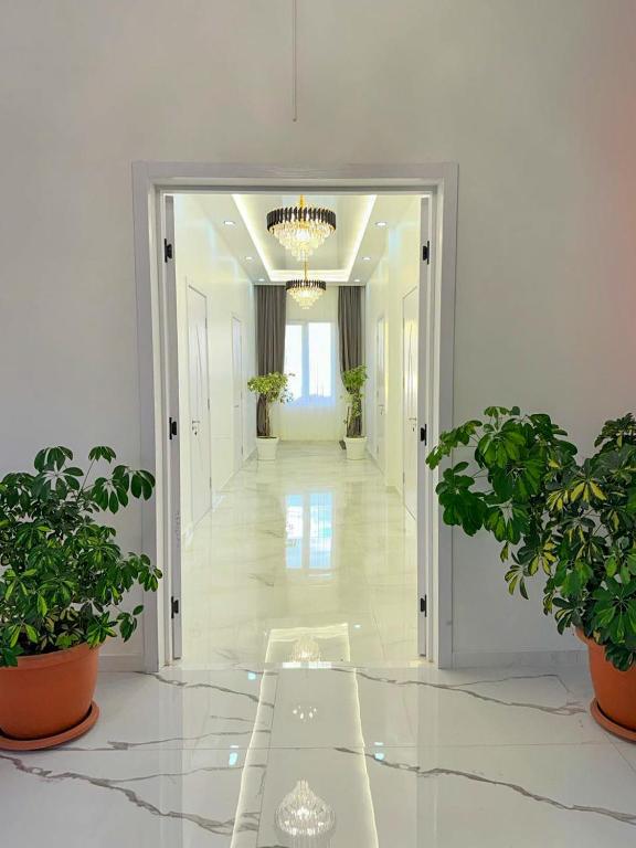 Fotografie z fotogalerie ubytování Гостевой дом Руслан v destinaci Batumi