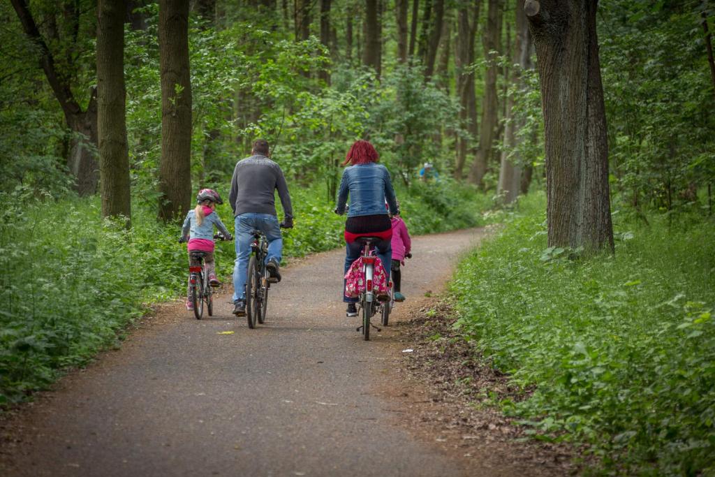 Gäste, die in der Unterkunft Ferienpark Rübezahl am Müggelsee, Haus 20 Mohn mit eigener Sauna, idealer Ort für Natur- und Erholungssuchende, für Radfahrer und Familien mit Kindern übernachten