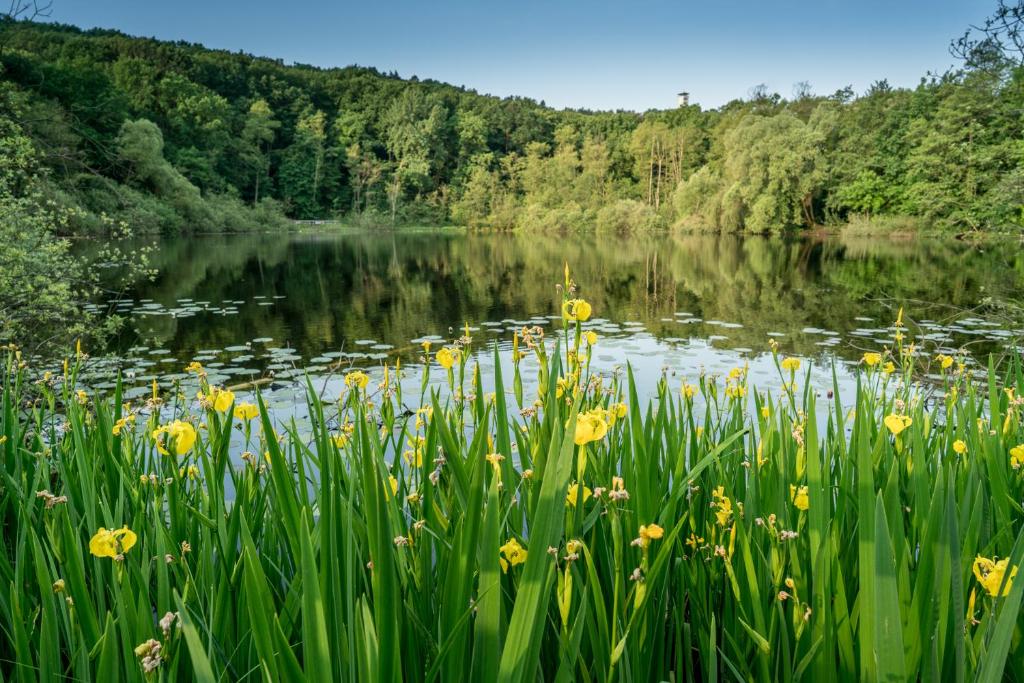 Naturlandschaft in der Nähe des Ferienhauses