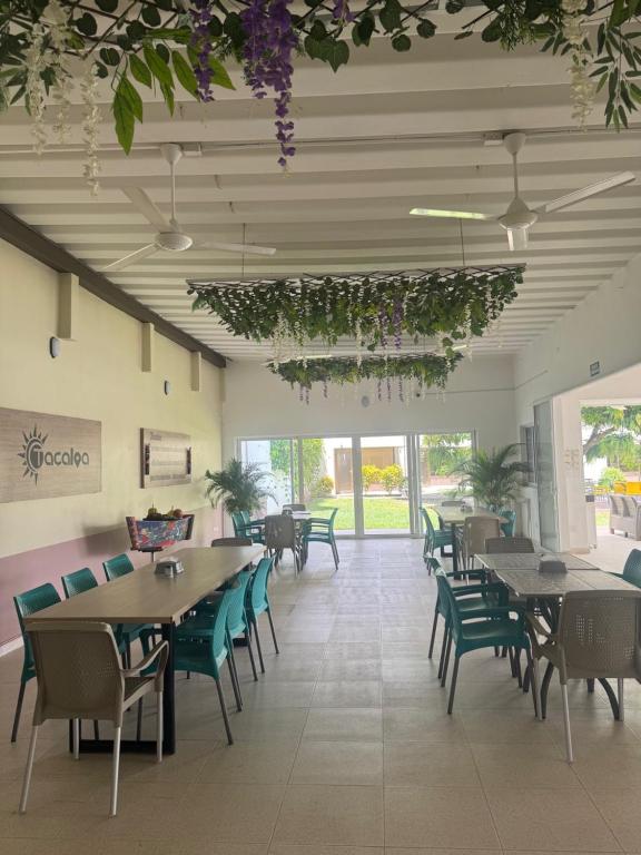 Restaurace v ubytování Hotel TACALOA INN EXPERIENCE