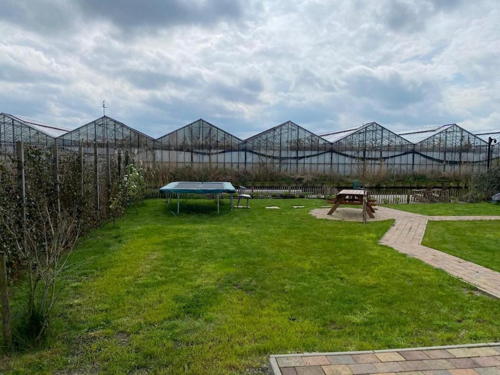 Zahrada ubytování The blue house