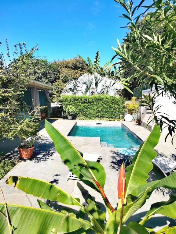 a swimming pool in the middle of a garden at Villa CYNNE Paradis Tropical in Baie-Mahault