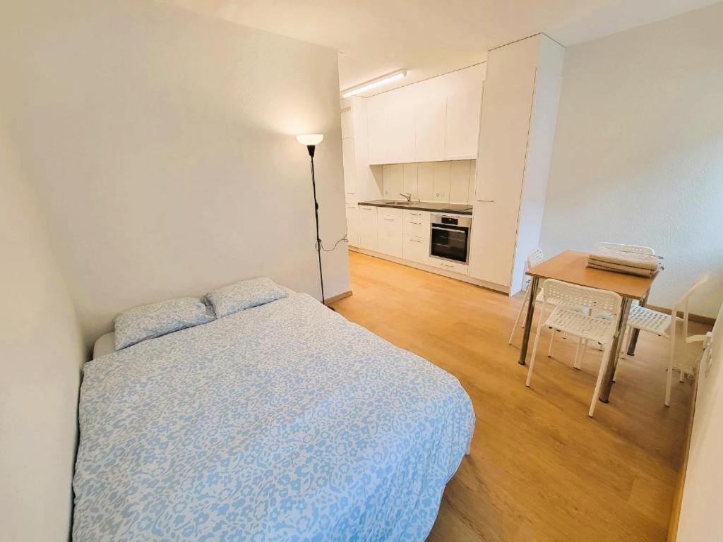 Η κουζίνα ή μικρή κουζίνα στο Zurich City Center Apartments next to Zurich HB Main Train Station LA - Self Checkin