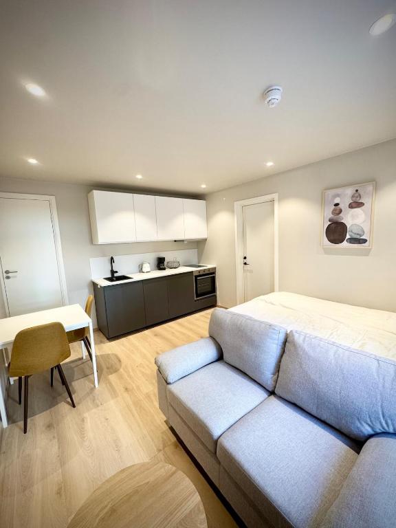 a living room with a couch and a kitchen at Bright & Cozy Studio - Central Location in Oslo