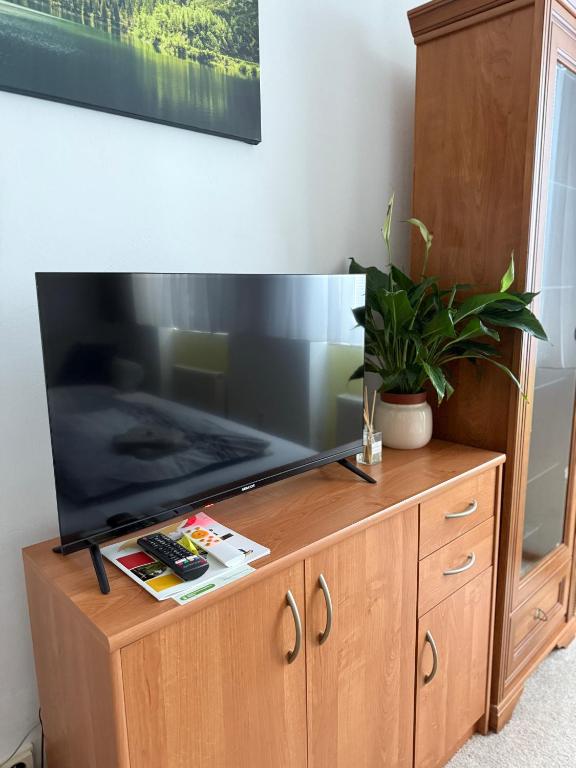 TV a/nebo společenská místnost v ubytování Domček Matiyáš