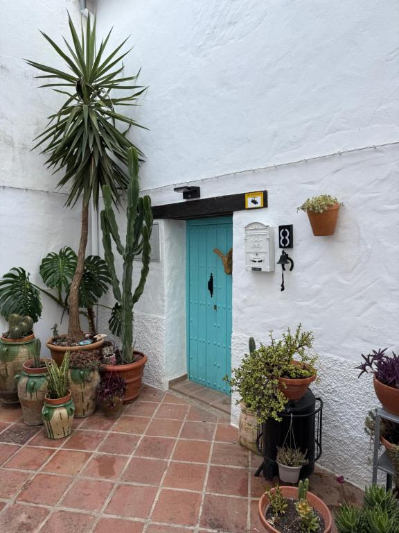 Fotografie z fotogalerie ubytování Ar2N San Pedro 8 v destinaci Genalguacil
