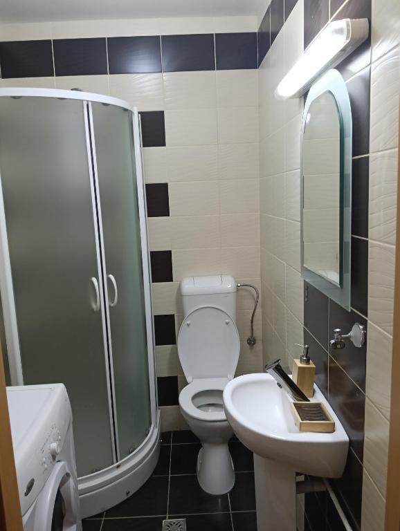 a bathroom with a shower and a toilet and a sink at Spital 1 cameră living in Târgu-Mureş