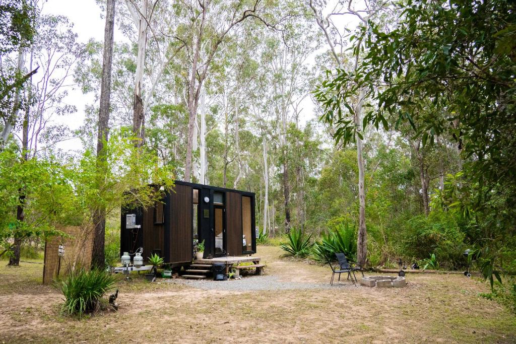 a small cabin in the woods with trees at Rocky Creek Escape by Tiny Away in Kanighan