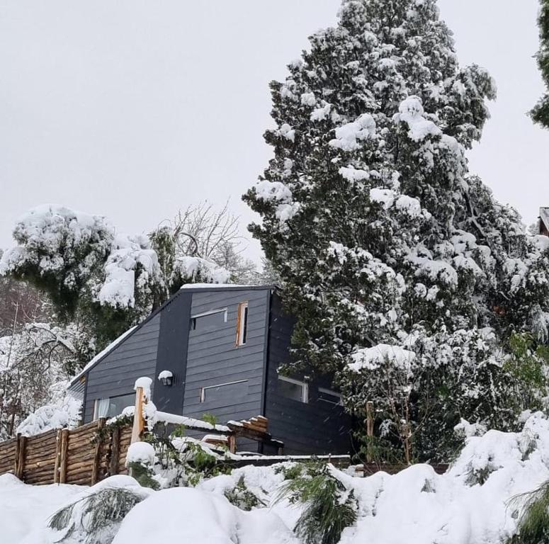 a blue house in the snow next to a tree at Tiny House de montaña in San Martín de los Andes