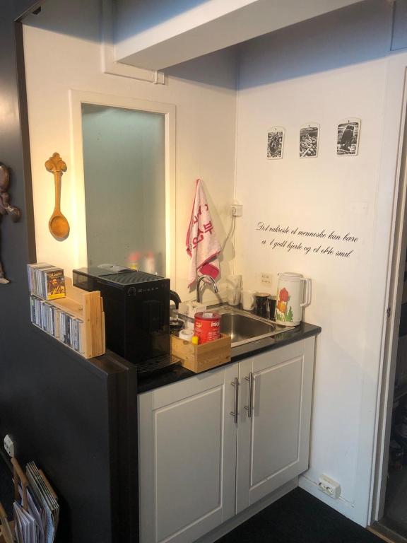 a kitchen with a sink and a microwave on a counter at Billigst i Arendal sentrum uten dusj næringslokaler klinikk og verksted in Arendal