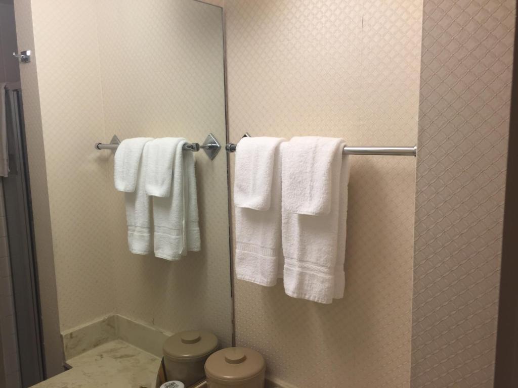 サンフランシスコにあるHotel Amariのバスルーム(白いタオル付)
