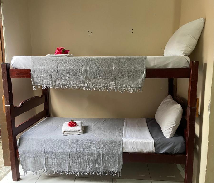 Фотография из галереи Benfica Hostel в городе Арраял-д'Ажуда