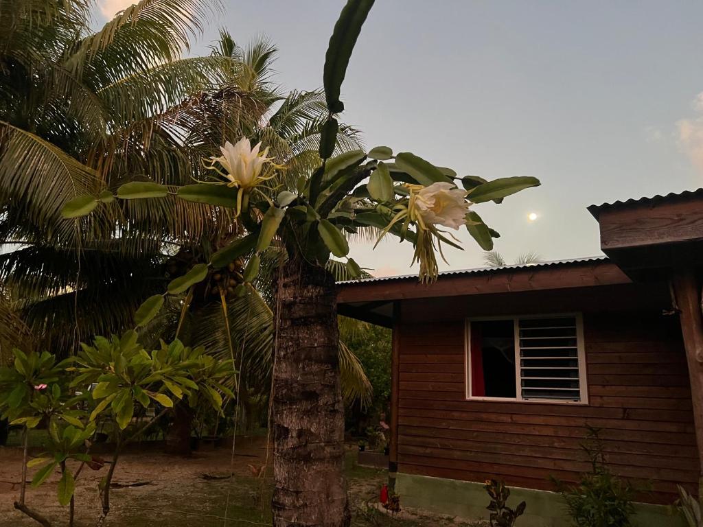 Kikon et Orama - photo 7 - Huahine, Polynésie