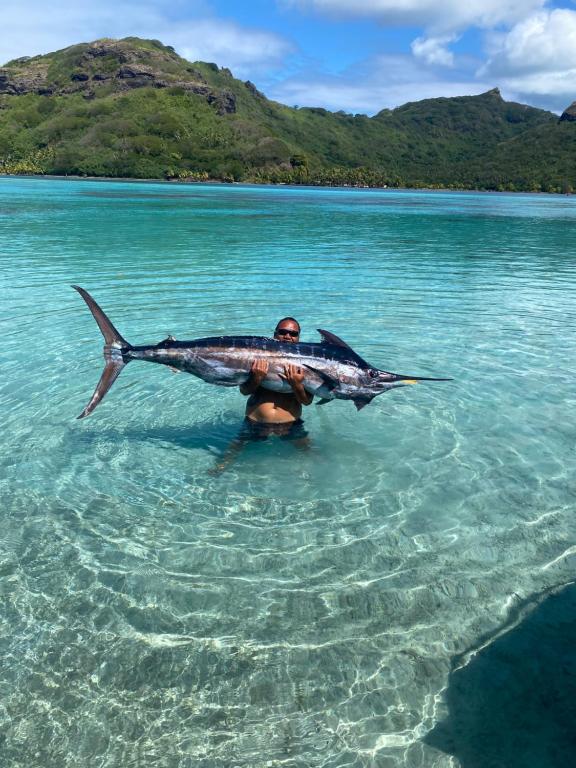 Kikon et Orama - photo 8 - Huahine, Polynésie