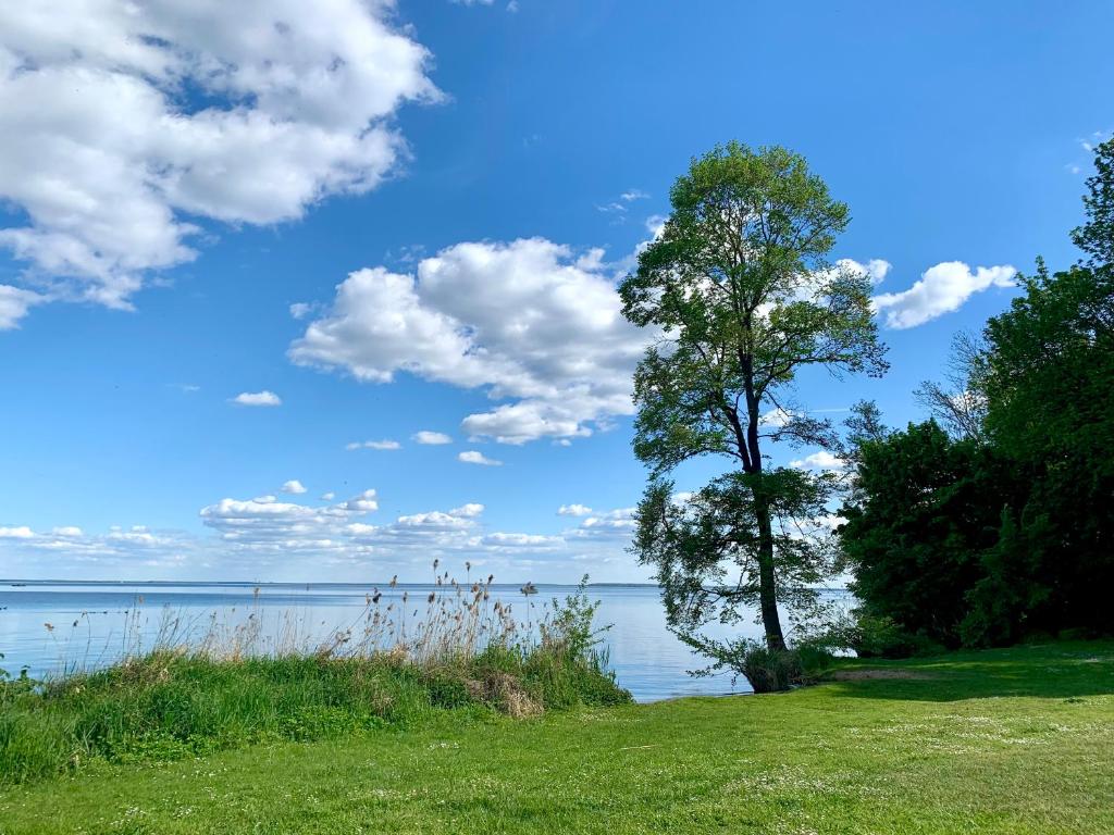Galeriebild der Unterkunft Ferienwohnung "Perle im Grünen" im Land der tausend Seen mit "Kamin" in Federow
