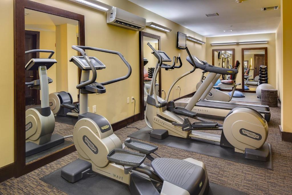 Fitness centrum a/nebo fitness zařízení v ubytování Lumiere by Dunton