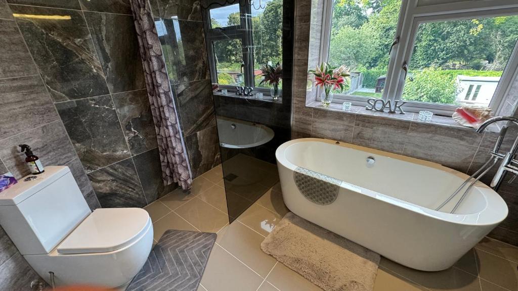 伦敦Stunning double bedroom Greenwich London with private bathroom的带浴缸、马桶和水槽的浴室