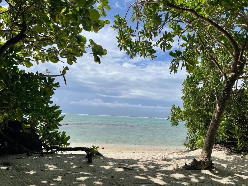 Parea Lodge Huahine Bungalow 2#FETI'A - photo 9 - Huahine, Polynésie
