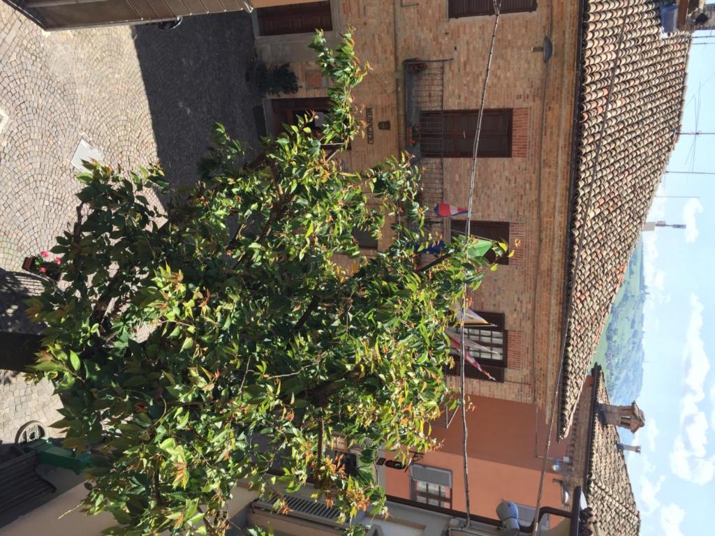 Balkón nebo terasa v ubytování Castelbourg