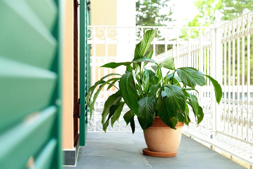 Kim Schlosshotel im Park - Resim 16