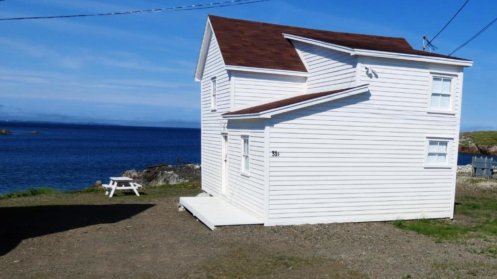 a small white building with a picnic table in front of the water at The Old Salt Box Co. - Aunt Glady's in Fogo