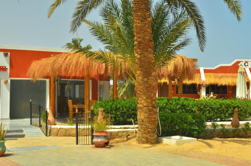 Sun Beach Hotel ABO SOMA - 5