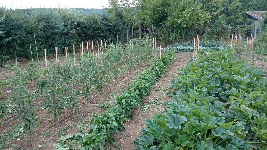 Zahrada ubytování Paysannerie des Versanes - Chambres et gîte