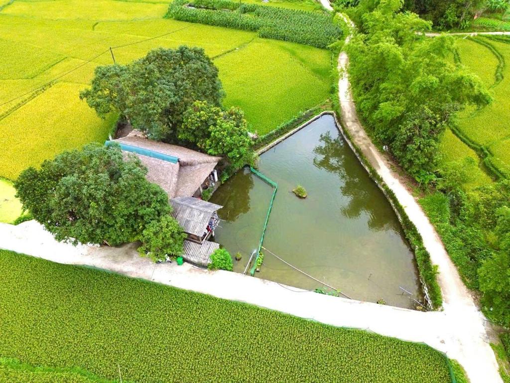 una vista aérea de una casa y un estanque en Mộc mạc nhà sàn, en Làng Ha