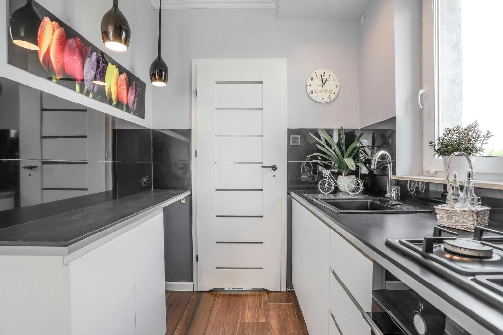 Kuchyňa alebo kuchynka v ubytovaní Baltic Villa