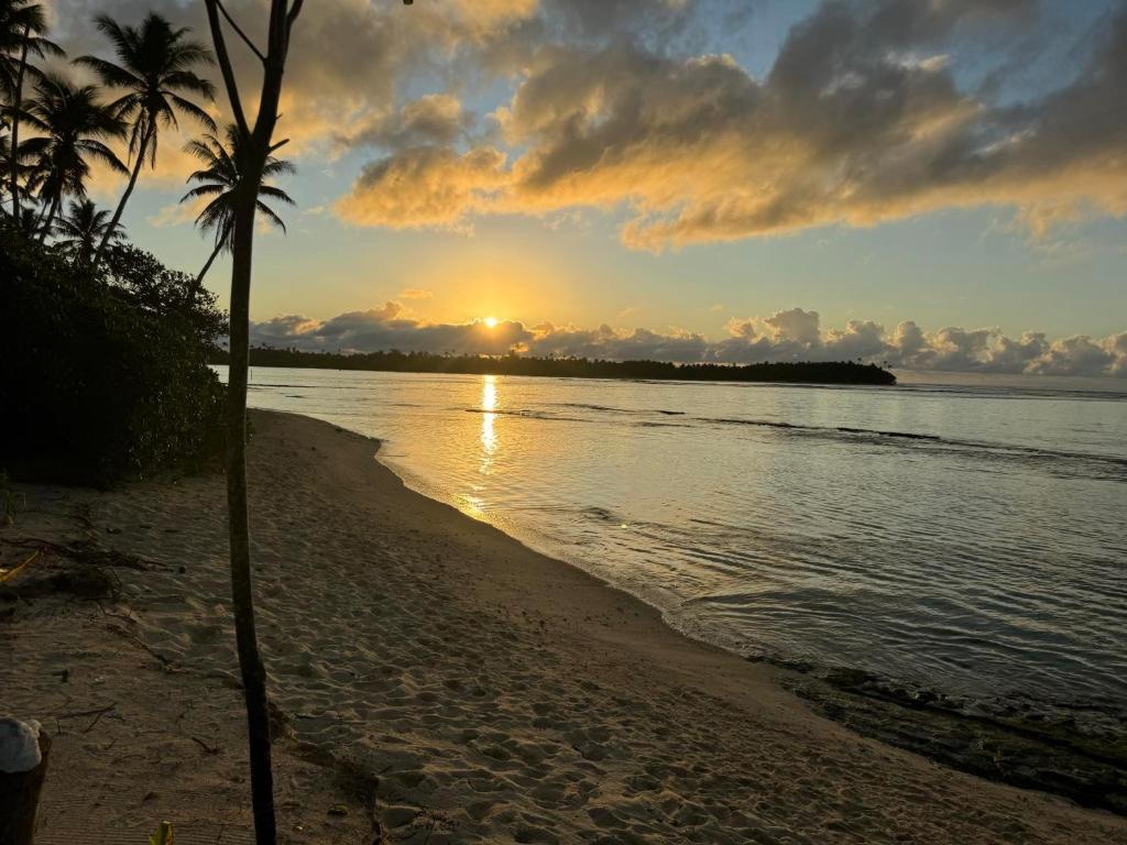 Bungalow 7 Mou'a - photo 8 - Huahine, Polynésie