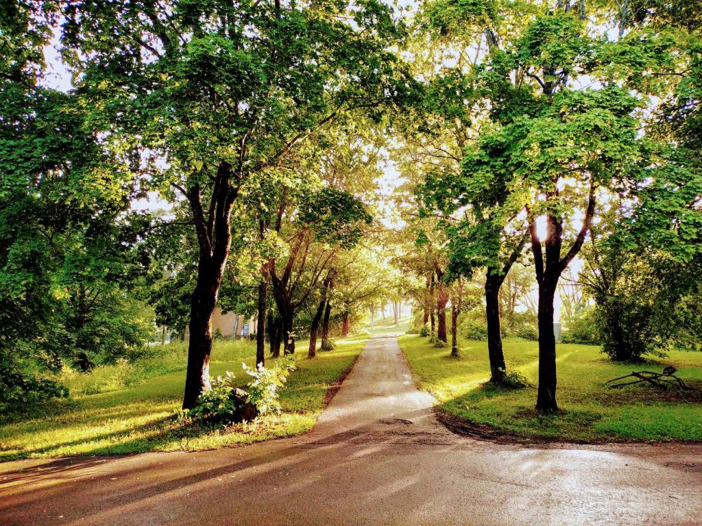 una strada sterrata con alberi su entrambi i lati di Ylisen Kartano a Kaihari