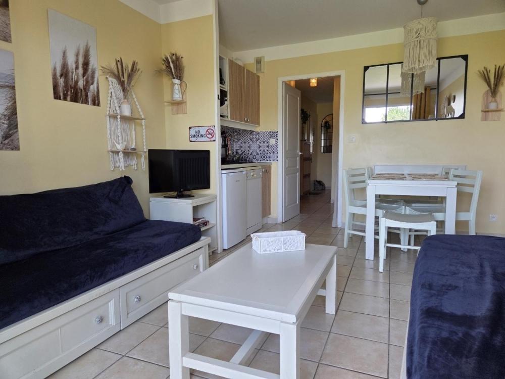 TV a/nebo společenská místnost v ubytování Appartement jardin, piscines, wi-fi, résidence face mer