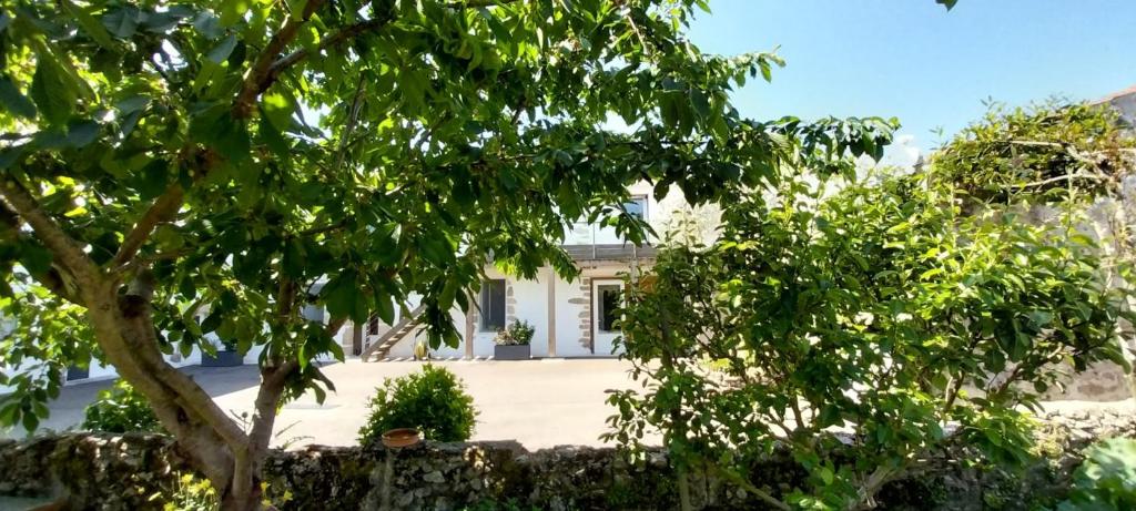 Galeriebild der Unterkunft Chambres d'hôtes Escale à Bouin in Bouin