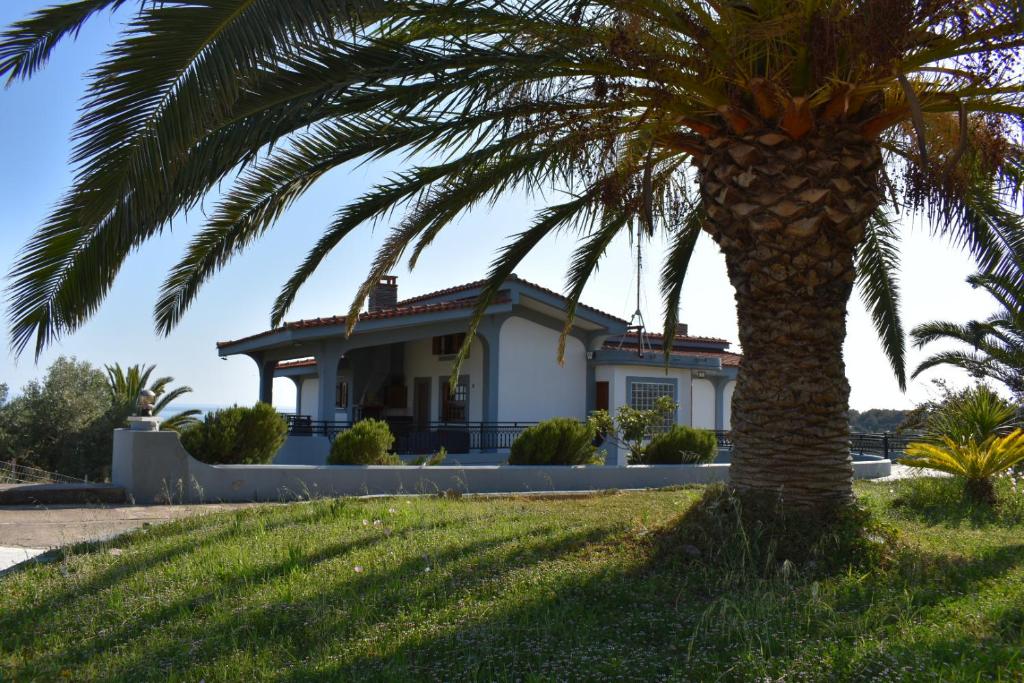 a palm tree in front of a house at Anna's House in Alexandroupoli