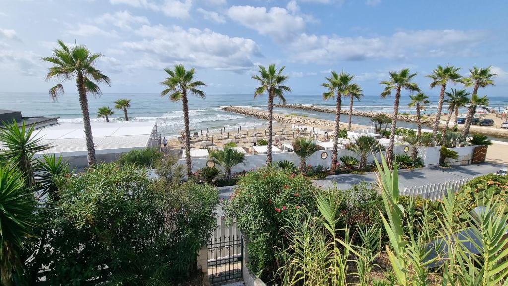 a view of a beach with palm trees and the ocean at LA VILLA fronte SPIAGGIA BANDIERA BLU in Sperlonga