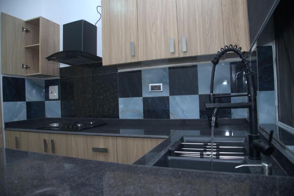 Kuchyň nebo kuchyňský kout v ubytování Kingston Luxury Apartments
