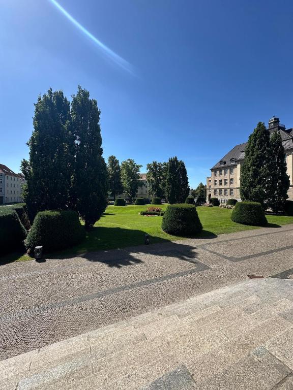 a park with trees and a building in the background at Modernes Loft an der Elbe in Wittenberge