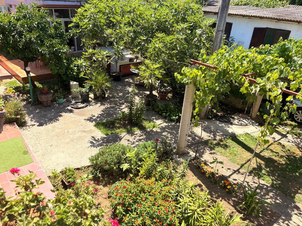 Giardino di Shkreli Apartments