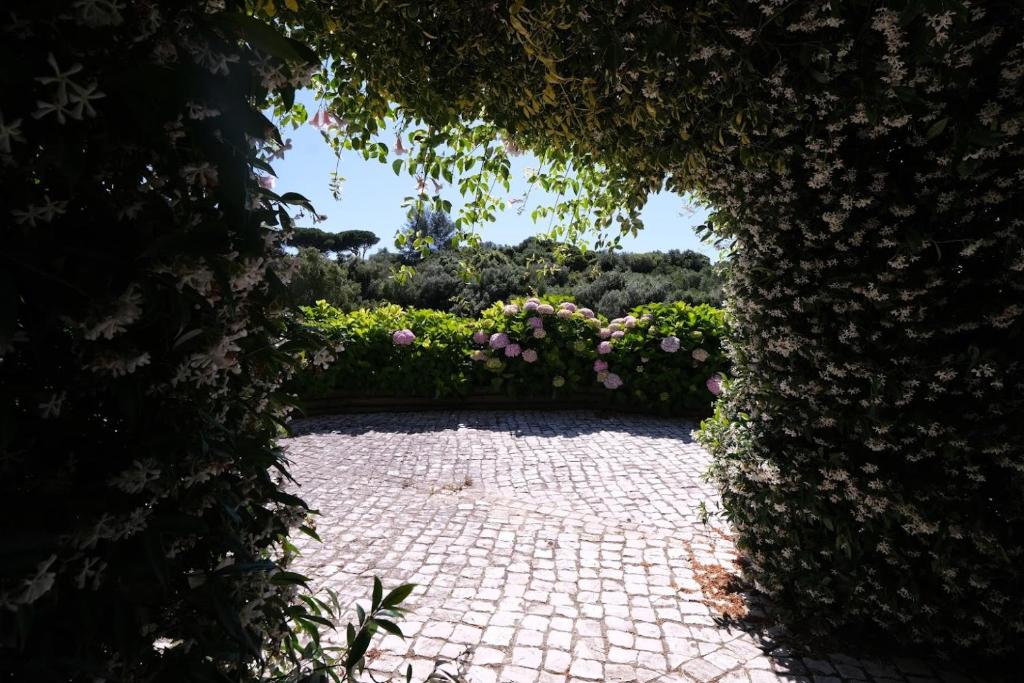 Quinta da Maquia Hotel - Resim 21