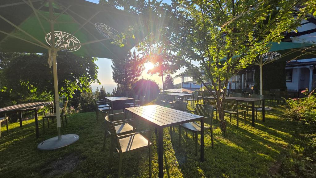 Zahrada ubytování Berghof Grüner Baum