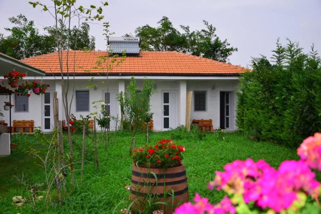 Κήπος έξω από το Casa Georgy
