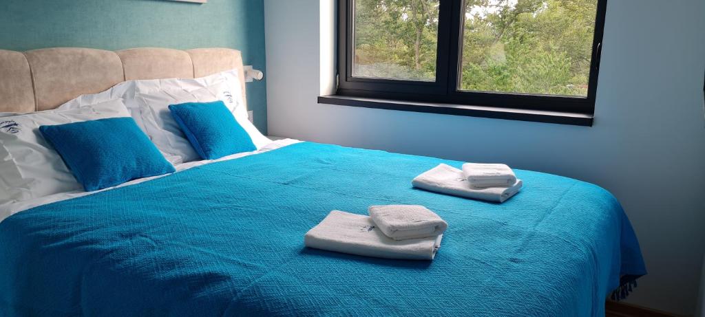 Postel nebo postele na pokoji v ubytování PLAVA ZVEZDA ZLATIBOR apartman u kompleksu Titova vila Zlatibor