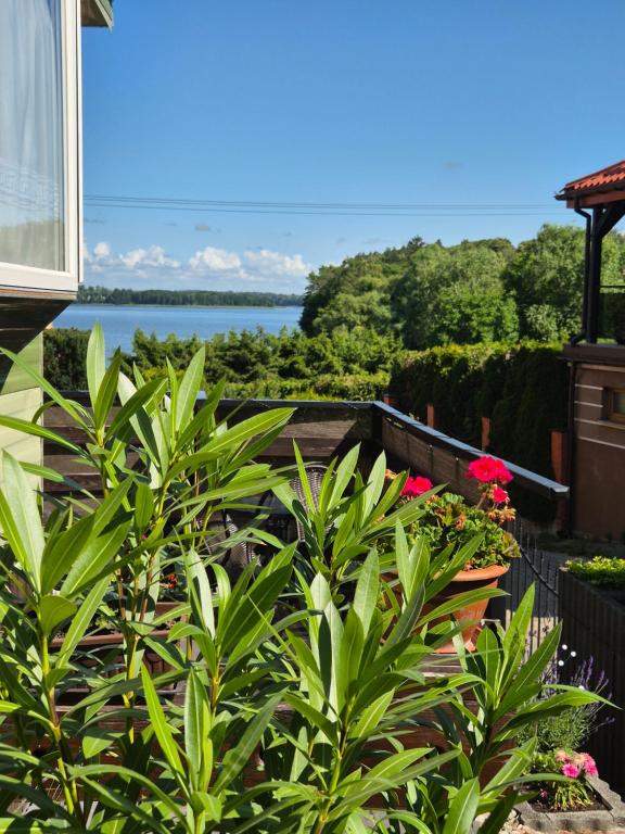 Vonkajšia záhrada v ubytovaní Juno Holiday