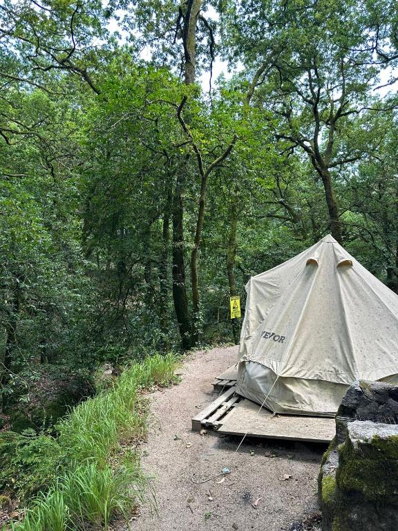a tent on a dirt trail in a forest at Mini Bell in Gerez