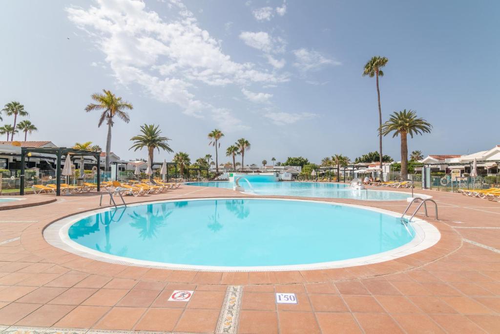 basen w ośrodku z krzesłami i palmami w obiekcie Beautiful Bungalow Maspalomas Lago w mieście Maspalomas