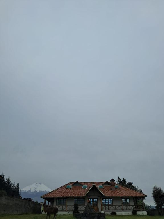 Příroda nedaleko hotelu