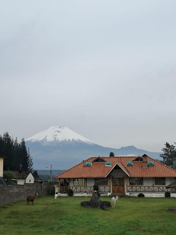 Příroda nedaleko hotelu