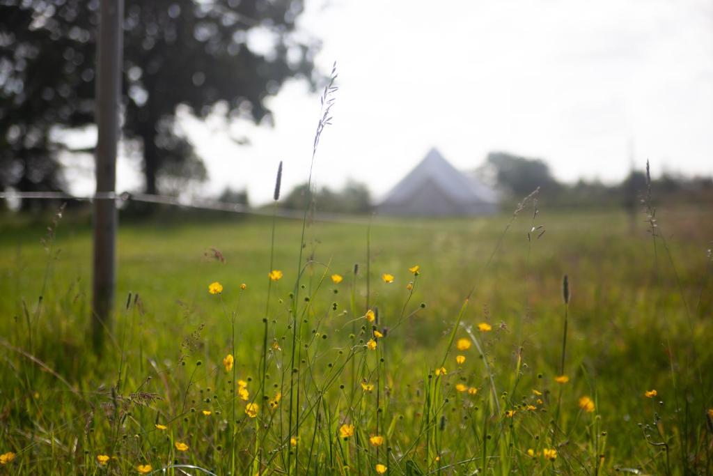 Příroda nedaleko luxury tent