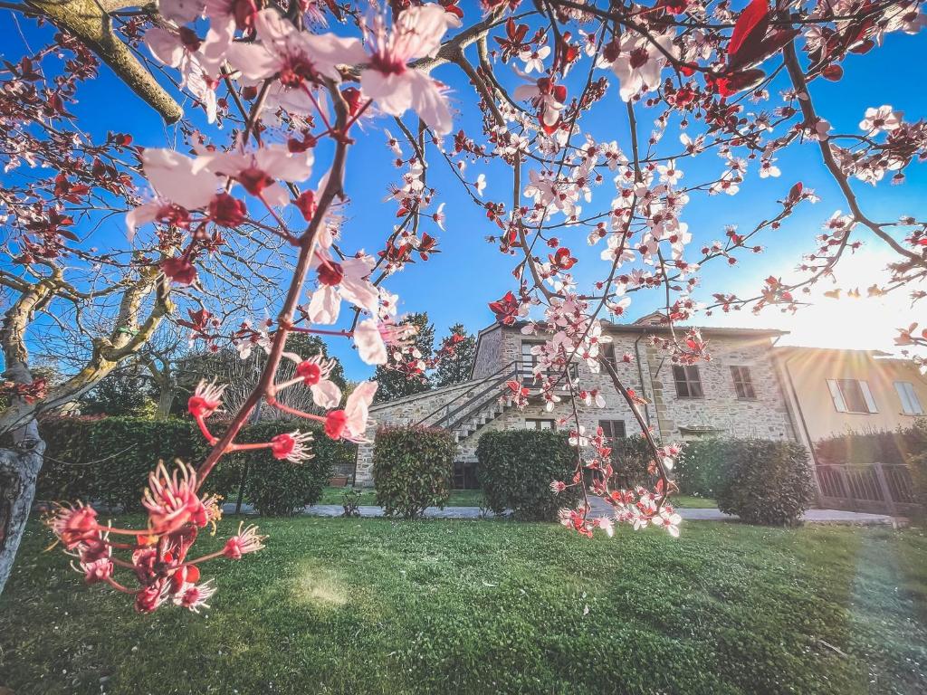 Agriturismo Tenuta Badia